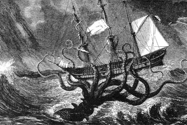 Kraken kraken dark link