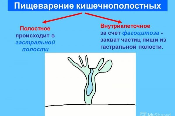 Кракен магазин kraken clear com