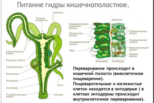 Кракен через обычный браузер