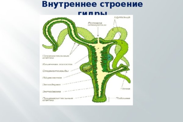 Пользователь не найден при входе на кракен