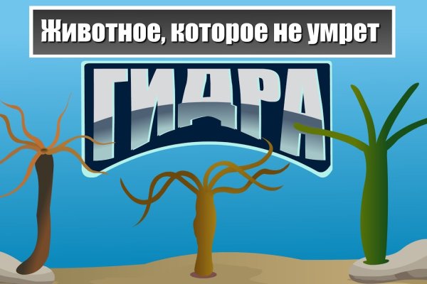 Кракен это даркнет маркетплейс