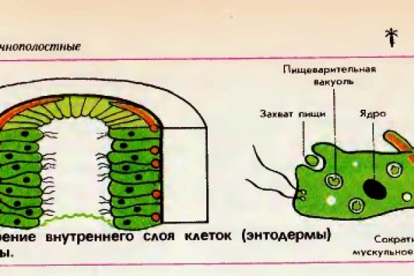 Кракен шеринг