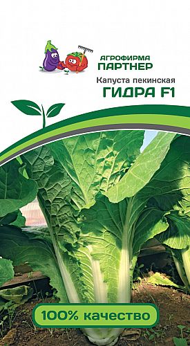 Кракен маркетплейс как зайти